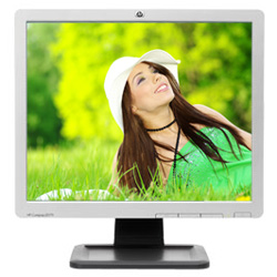 HP Compaq LE1711 17-inch LCD Monitor (EM886AA)